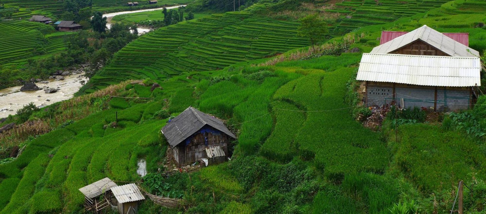 سابا Freedom Homestay & Trekking المظهر الخارجي الصورة