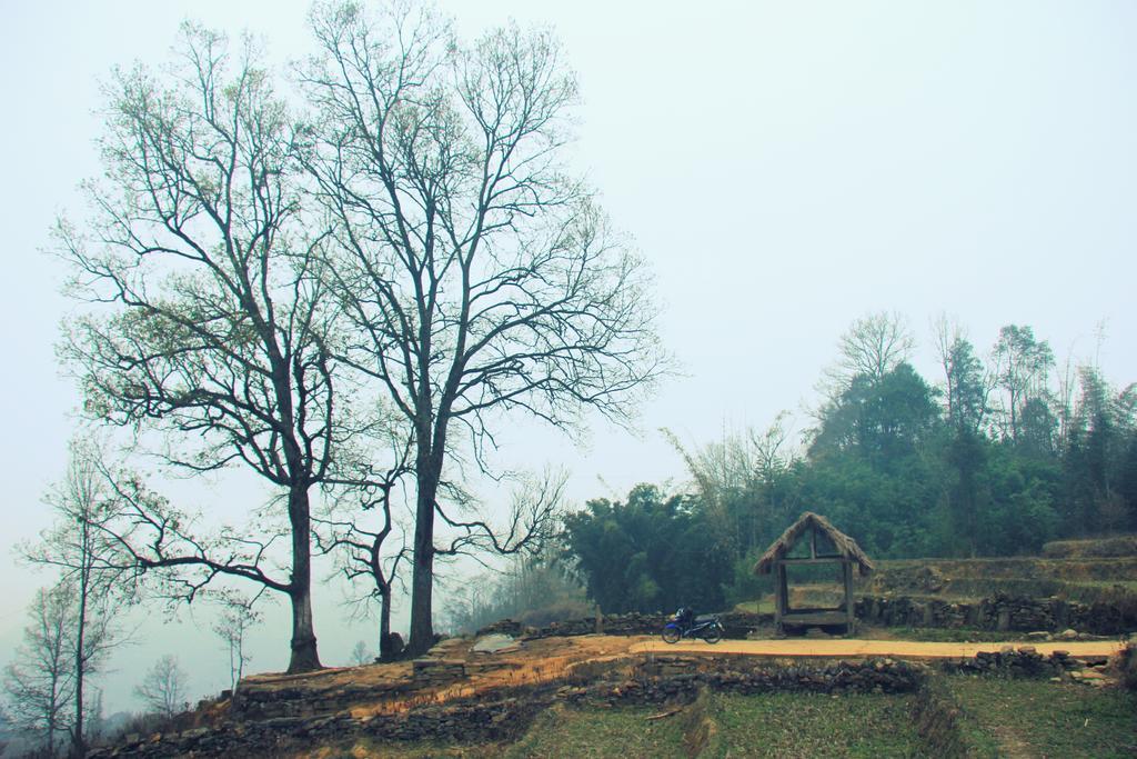 سابا Freedom Homestay & Trekking المظهر الخارجي الصورة